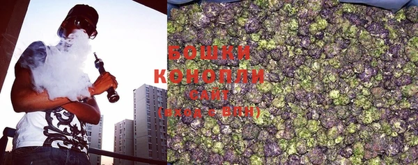 ГАЛЛЮЦИНОГЕННЫЕ ГРИБЫ Волосово
