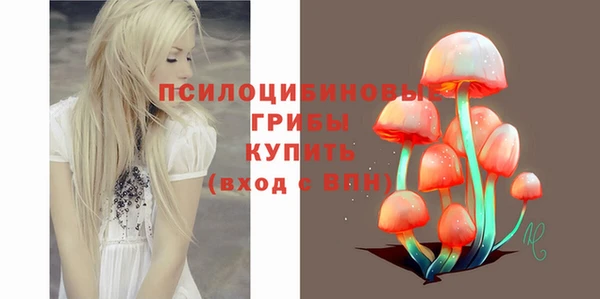 ГАЛЛЮЦИНОГЕННЫЕ ГРИБЫ Волосово