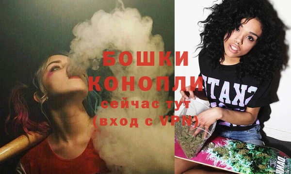 ГАЛЛЮЦИНОГЕННЫЕ ГРИБЫ Волосово