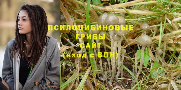 ГАЛЛЮЦИНОГЕННЫЕ ГРИБЫ Волосово