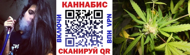 Канабис сатива  Невинномысск 